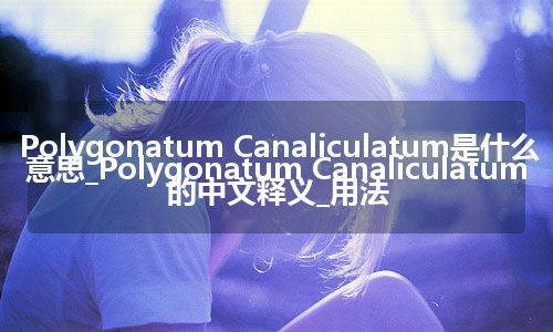 Polygonatum Canaliculatum是什么意思_Polygonatum Canaliculatum的中文释义_用法