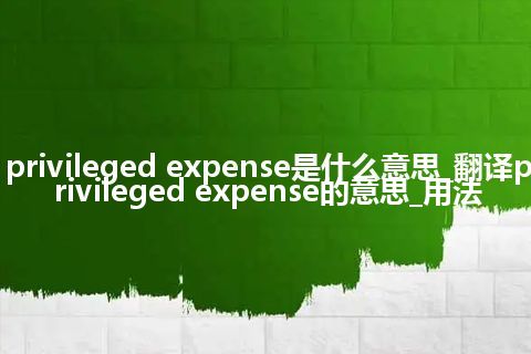 privileged expense是什么意思_翻译privileged expense的意思_用法