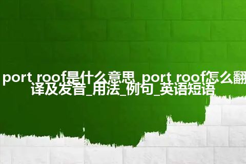 port roof是什么意思_port roof怎么翻译及发音_用法_例句_英语短语
