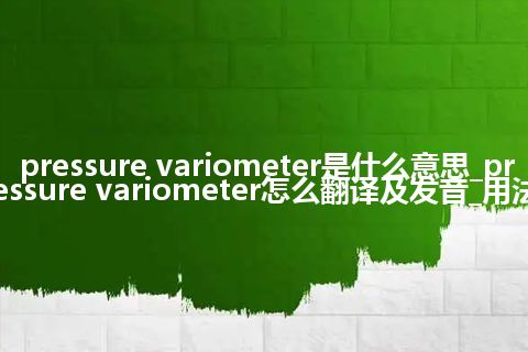 pressure variometer是什么意思_pressure variometer怎么翻译及发音_用法