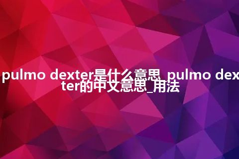 pulmo dexter是什么意思_pulmo dexter的中文意思_用法