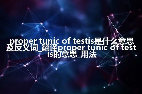 proper tunic of testis是什么意思及反义词_翻译proper tunic of testis的意思_用法