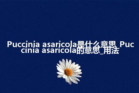 Puccinia asaricola是什么意思_Puccinia asaricola的意思_用法