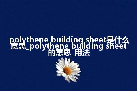 polythene building sheet是什么意思_polythene building sheet的意思_用法