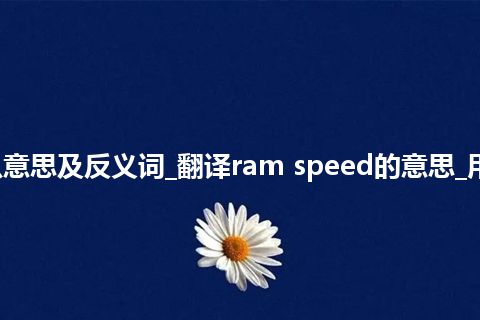 ram speed是什么意思及反义词_翻译ram speed的意思_用法_例句_英语短语