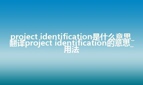 project identification是什么意思_翻译project identification的意思_用法