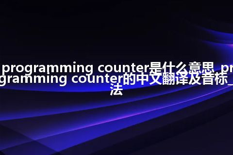 programming counter是什么意思_programming counter的中文翻译及音标_用法