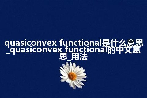 quasiconvex functional是什么意思_quasiconvex functional的中文意思_用法
