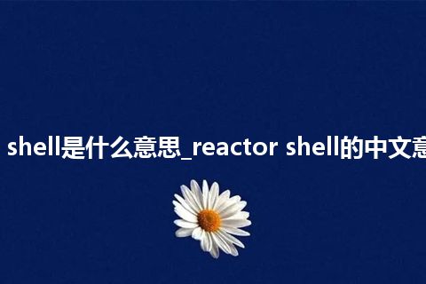 reactor shell是什么意思_reactor shell的中文意思_用法
