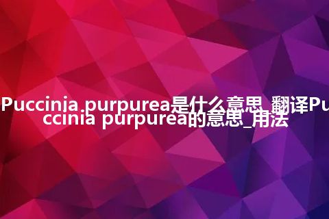 Puccinia purpurea是什么意思_翻译Puccinia purpurea的意思_用法