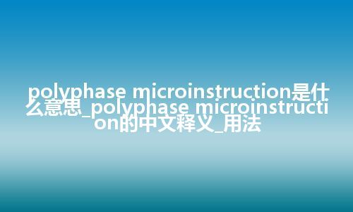 polyphase microinstruction是什么意思_polyphase microinstruction的中文释义_用法