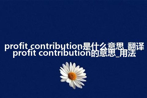 profit contribution是什么意思_翻译profit contribution的意思_用法