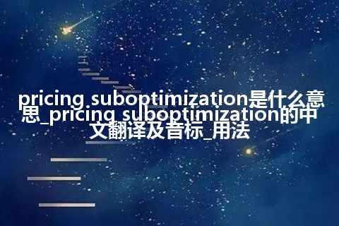 pricing suboptimization是什么意思_pricing suboptimization的中文翻译及音标_用法