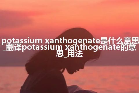potassium xanthogenate是什么意思_翻译potassium xanthogenate的意思_用法