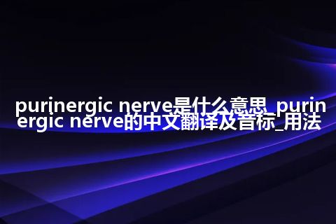 purinergic nerve是什么意思_purinergic nerve的中文翻译及音标_用法