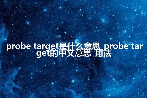 probe target是什么意思_probe target的中文意思_用法