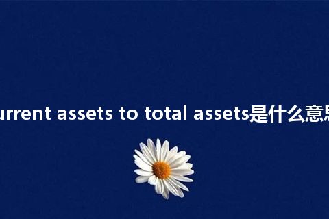 ratio of current assets to total assets是什么意思_中文意思