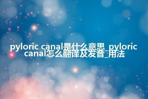 pyloric canal是什么意思_pyloric canal怎么翻译及发音_用法