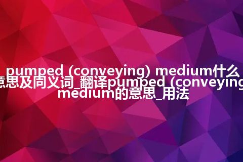 pumped (conveying) medium什么意思及同义词_翻译pumped (conveying) medium的意思_用法