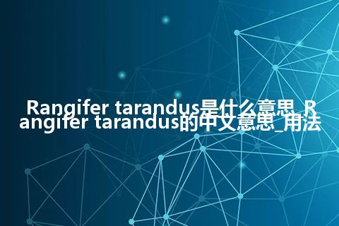 Rangifer tarandus是什么意思_Rangifer tarandus的中文意思_用法