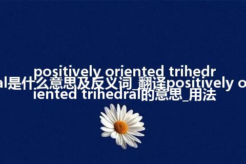 positively oriented trihedral是什么意思及反义词_翻译positively oriented trihedral的意思_用法