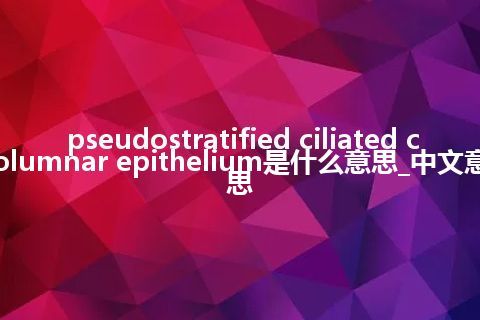 pseudostratified ciliated columnar epithelium是什么意思_中文意思