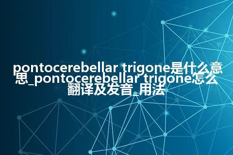 pontocerebellar trigone是什么意思_pontocerebellar trigone怎么翻译及发音_用法