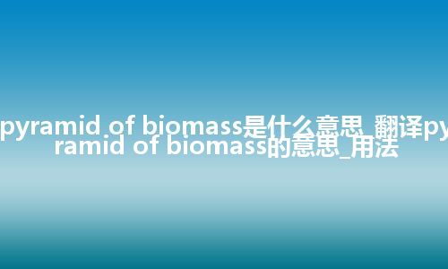 pyramid of biomass是什么意思_翻译pyramid of biomass的意思_用法