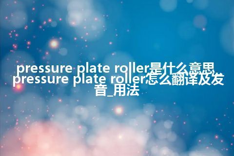 pressure plate roller是什么意思_pressure plate roller怎么翻译及发音_用法