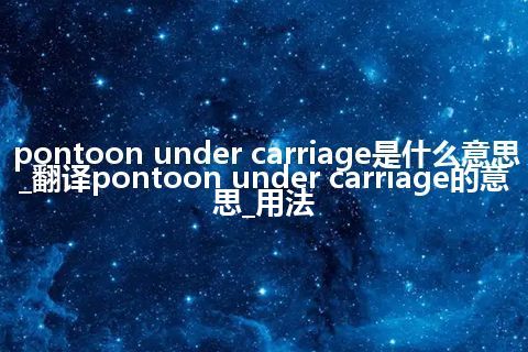 pontoon under carriage是什么意思_翻译pontoon under carriage的意思_用法