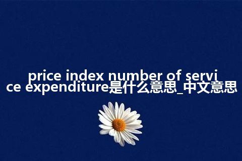price index number of service expenditure是什么意思_中文意思