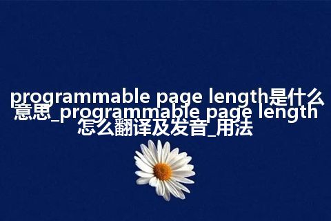 programmable page length是什么意思_programmable page length怎么翻译及发音_用法