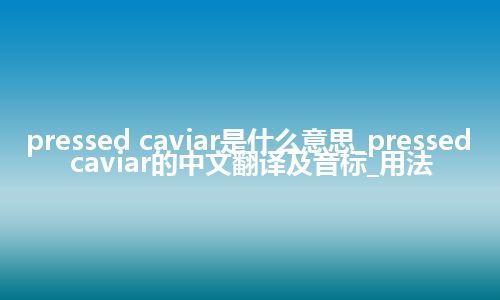 pressed caviar是什么意思_pressed caviar的中文翻译及音标_用法