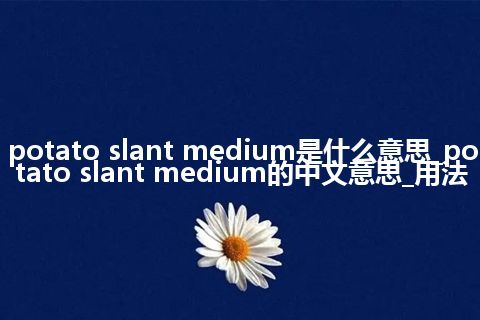 potato slant medium是什么意思_potato slant medium的中文意思_用法
