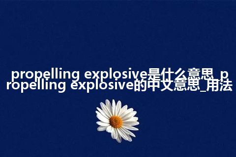 propelling explosive是什么意思_propelling explosive的中文意思_用法