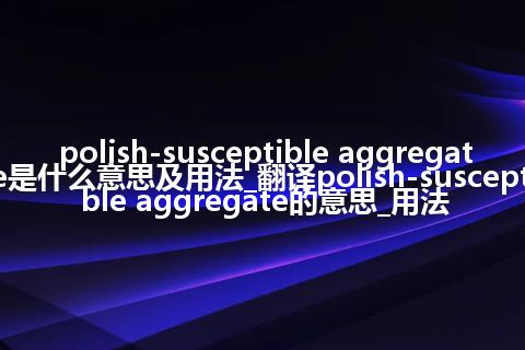 polish-susceptible aggregate是什么意思及用法_翻译polish-susceptible aggregate的意思_用法