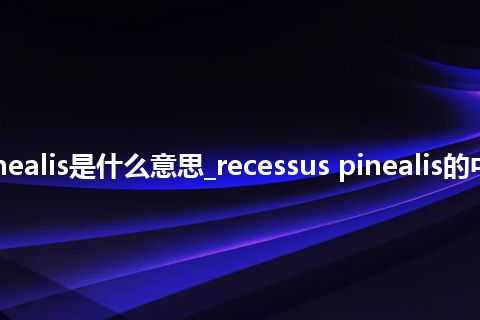 recessus pinealis是什么意思_recessus pinealis的中文释义_用法