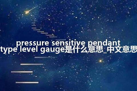 pressure sensitive pendant type level gauge是什么意思_中文意思