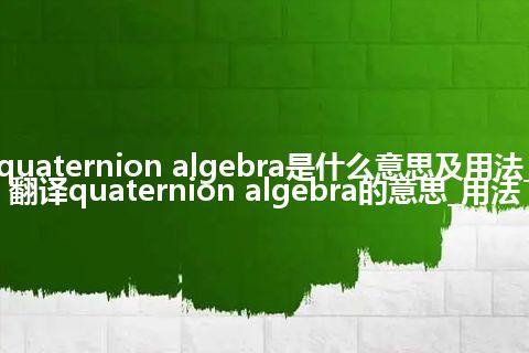 quaternion algebra是什么意思及用法_翻译quaternion algebra的意思_用法