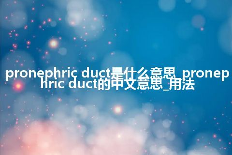 pronephric duct是什么意思_pronephric duct的中文意思_用法