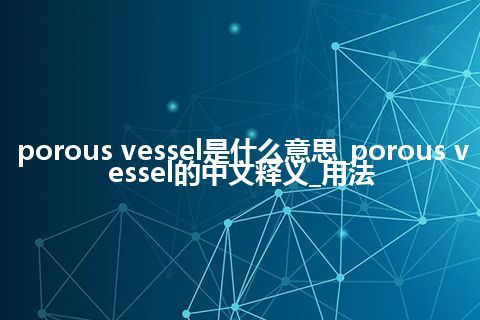 porous vessel是什么意思_porous vessel的中文释义_用法
