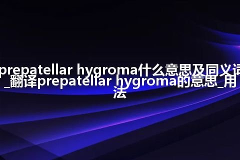 prepatellar hygroma什么意思及同义词_翻译prepatellar hygroma的意思_用法