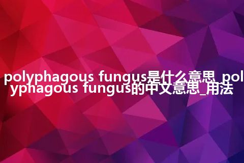 polyphagous fungus是什么意思_polyphagous fungus的中文意思_用法