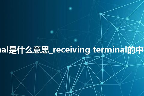 receiving terminal是什么意思_receiving terminal的中文翻译及音标_用法