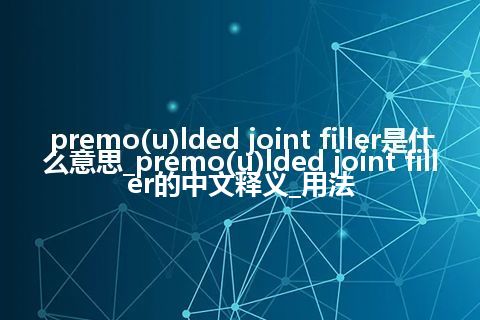 premo(u)lded joint filler是什么意思_premo(u)lded joint filler的中文释义_用法
