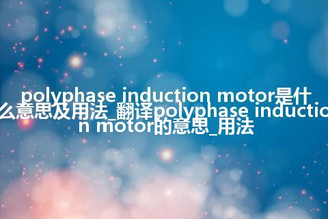 polyphase induction motor是什么意思及用法_翻译polyphase induction motor的意思_用法