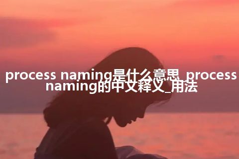 process naming是什么意思_process naming的中文释义_用法