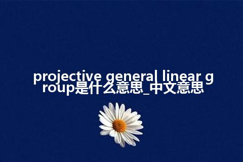 projective general linear group是什么意思_中文意思