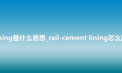 rail-cement lining是什么意思_rail-cement lining怎么翻译及发音_用法