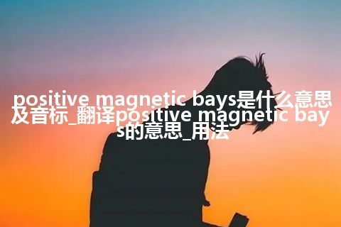 positive magnetic bays是什么意思及音标_翻译positive magnetic bays的意思_用法
